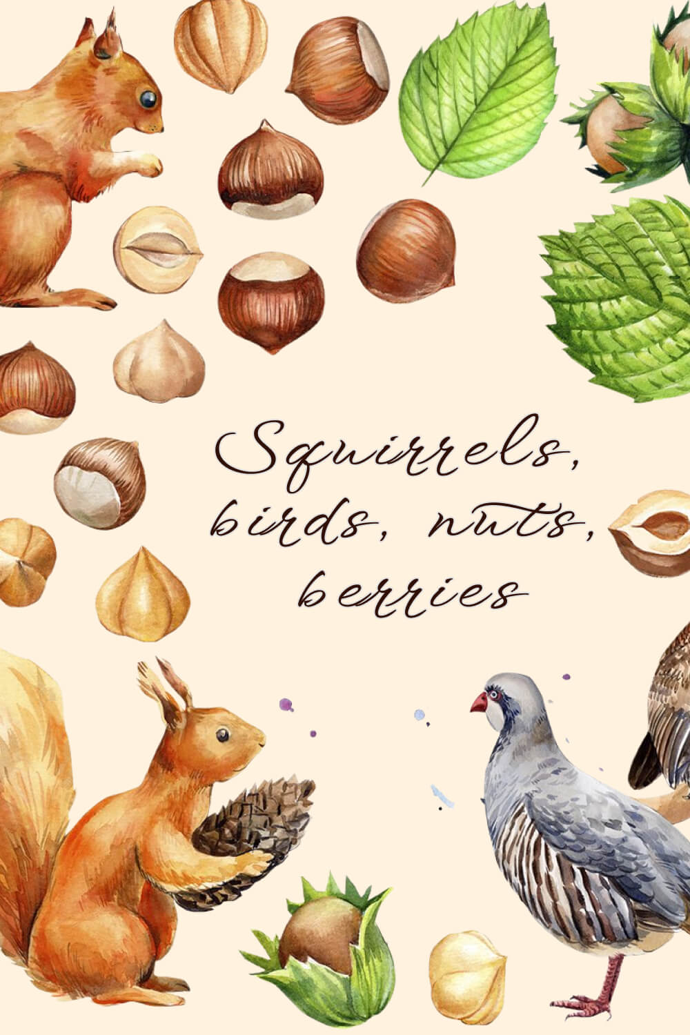 Red Squirrels and gray birds with nuts and cones on a beige background.