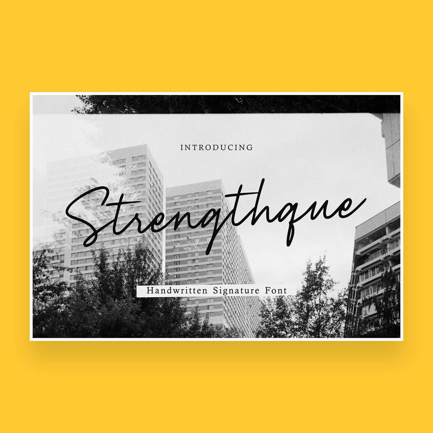 strengthque a handwritten signature font cover image.