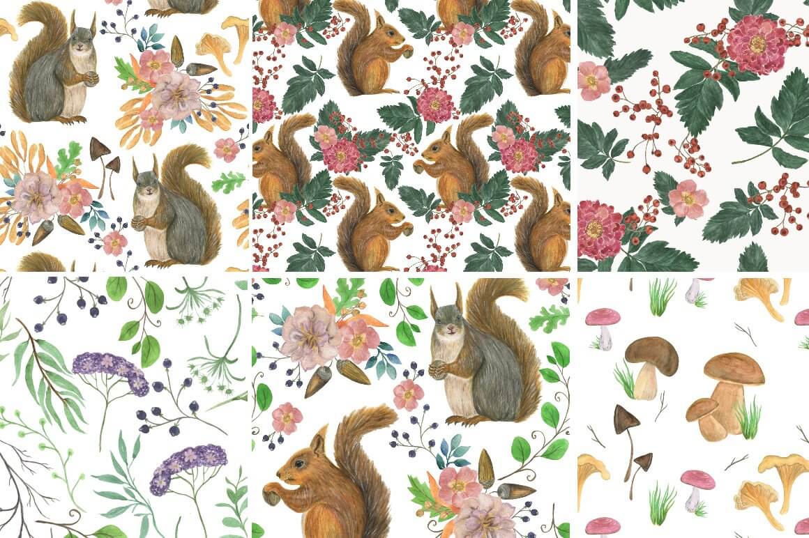 Six colorful prints with squirrels, mushrooms, berries, flowers and green branches.