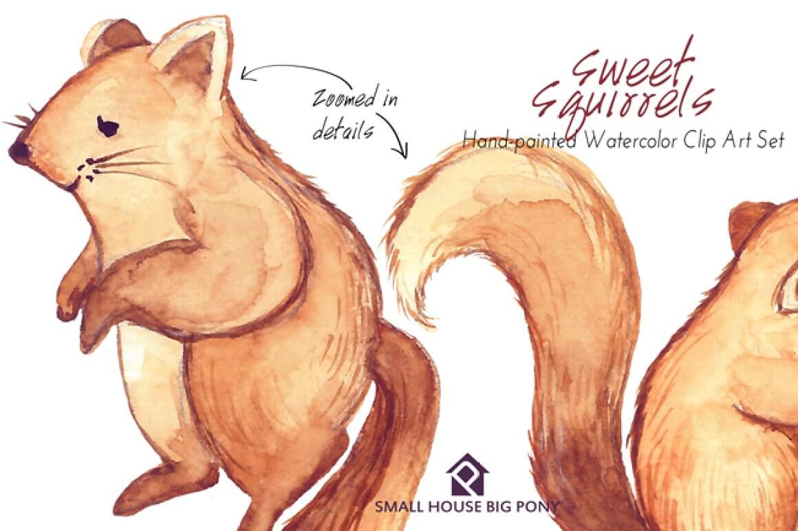 The details are very well drawn on the watercolor squirrel.