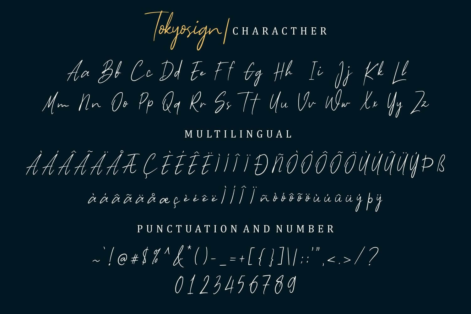 tokyosign beautiful handwritten font all symbols example.