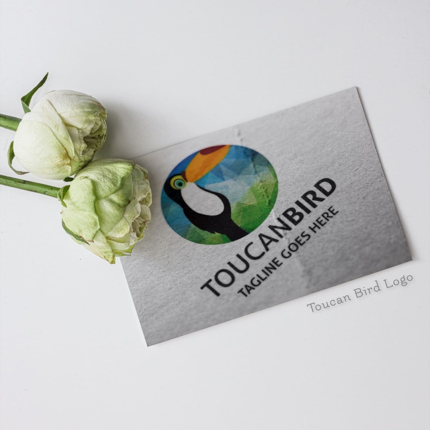 Toucan Bird Logo Design cover image.