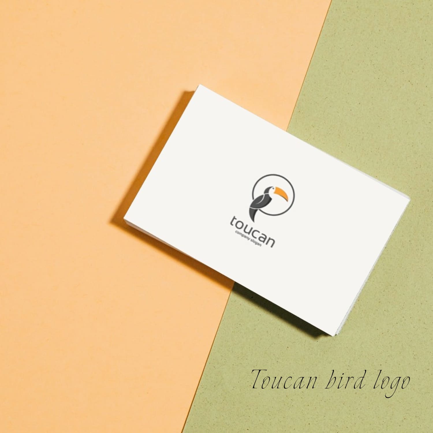 toucan bird logo business card mockup.