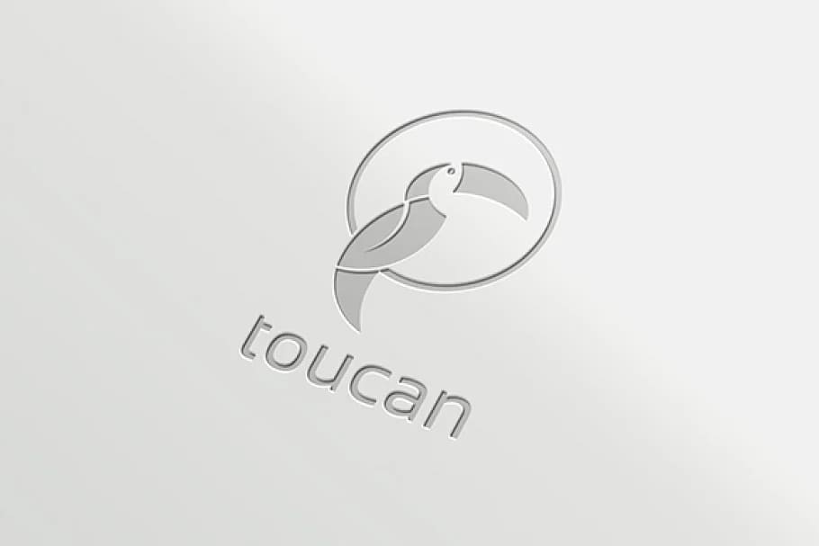 toucan bird logo on light background.