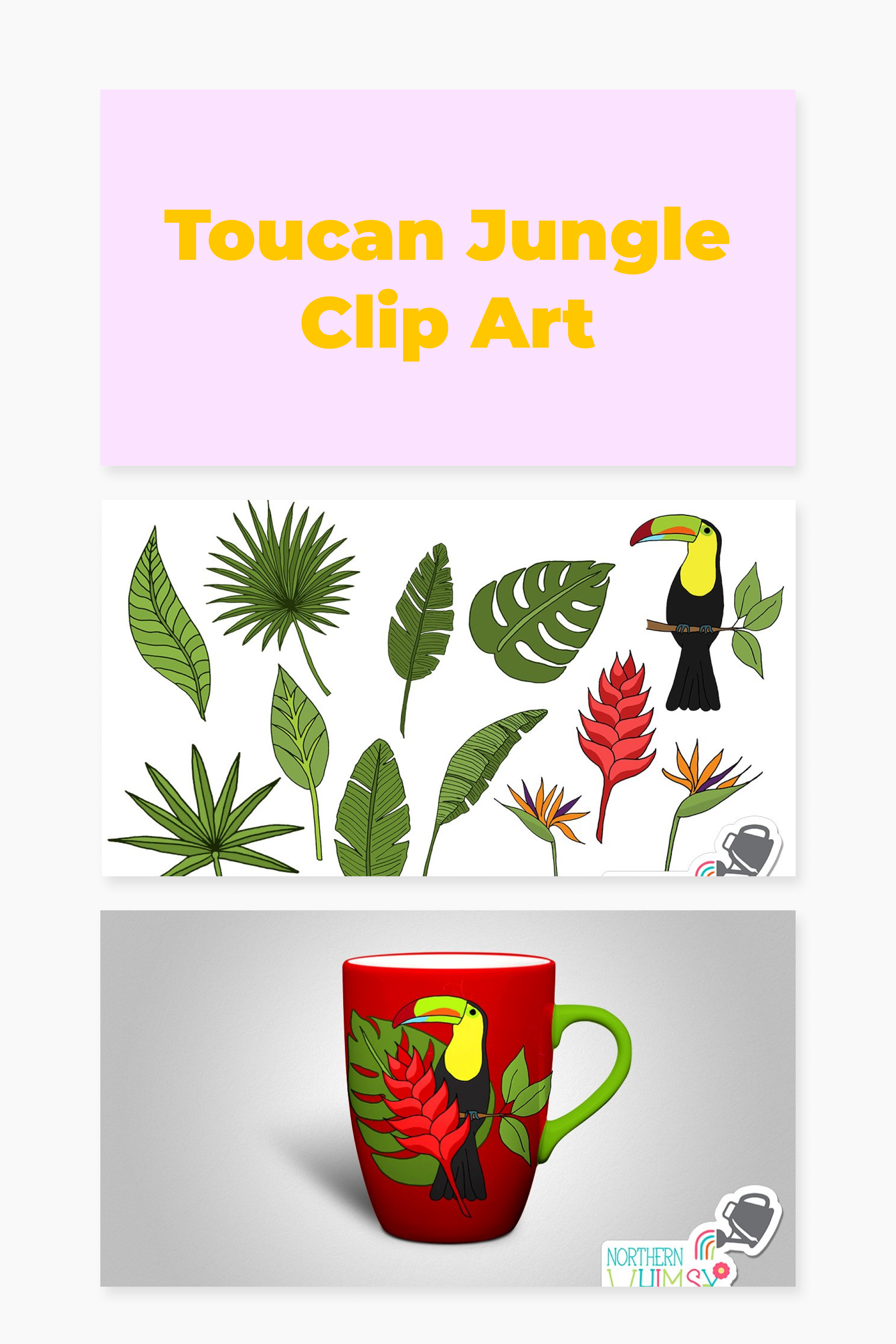 Toucan tropical collection pinterest.