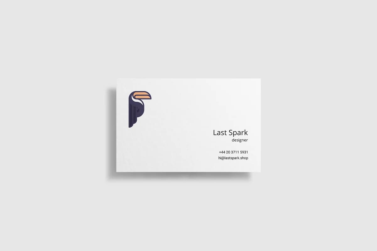 toucan logo business card mockup.