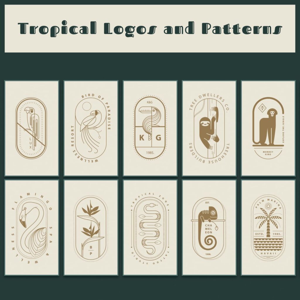 Tropical Logos And Patterns Collection Masterbundles