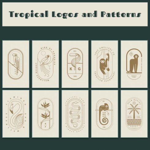 Tropical Logos and Patterns Collection cover image.