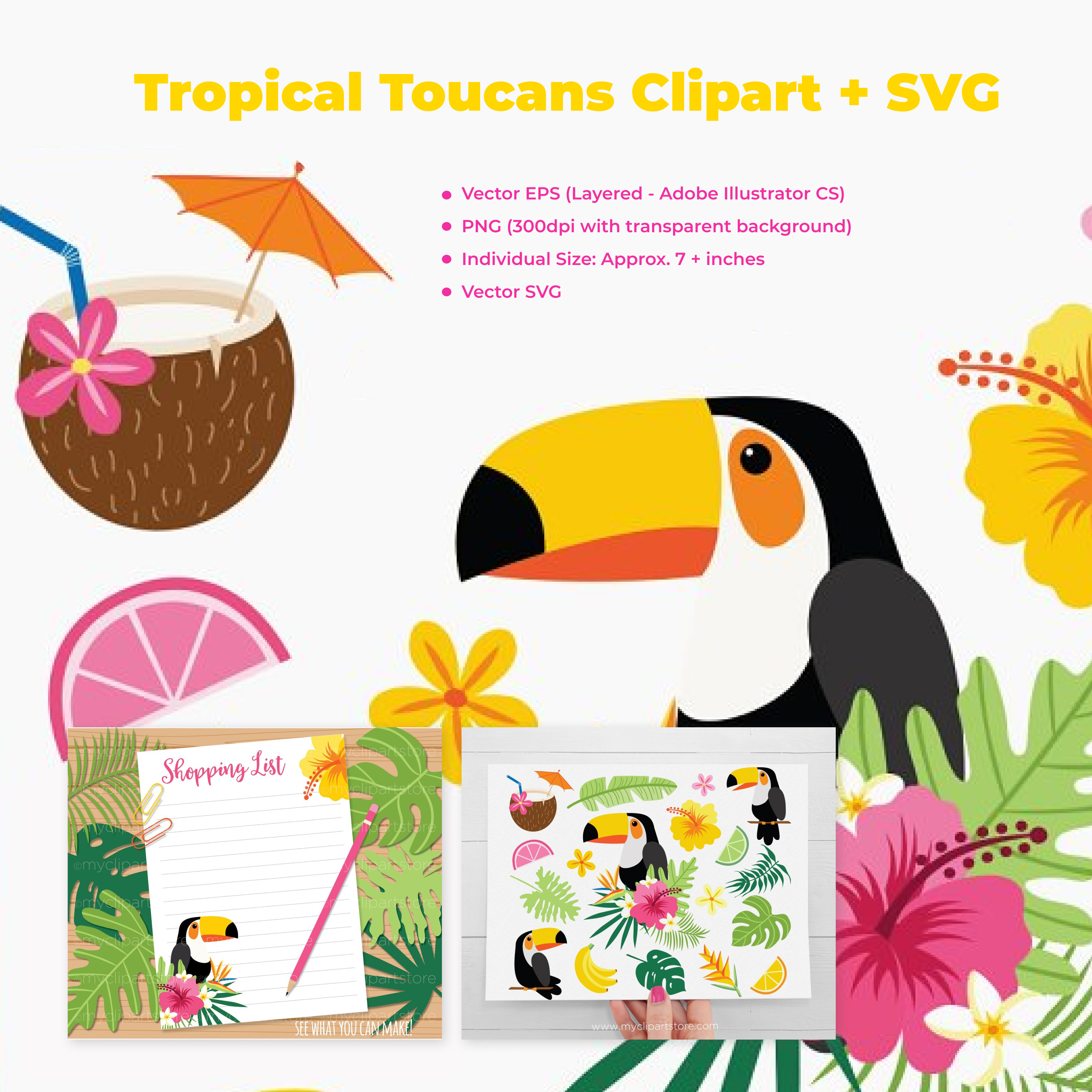 Tropical bird toucans clipart.