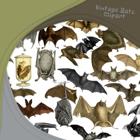 Vintage Bats Clipart cover image.