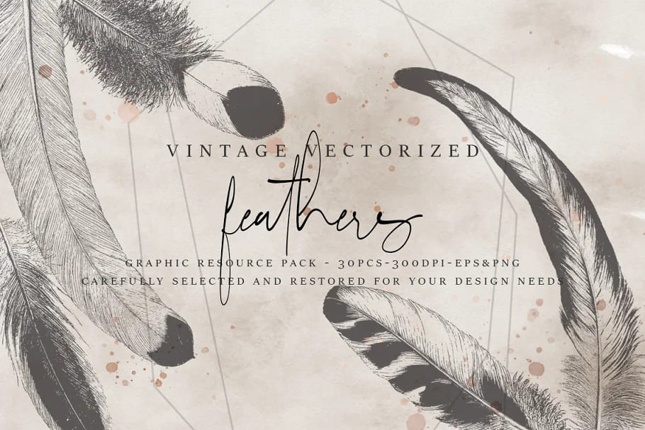 vintage vectorized feathers collection.