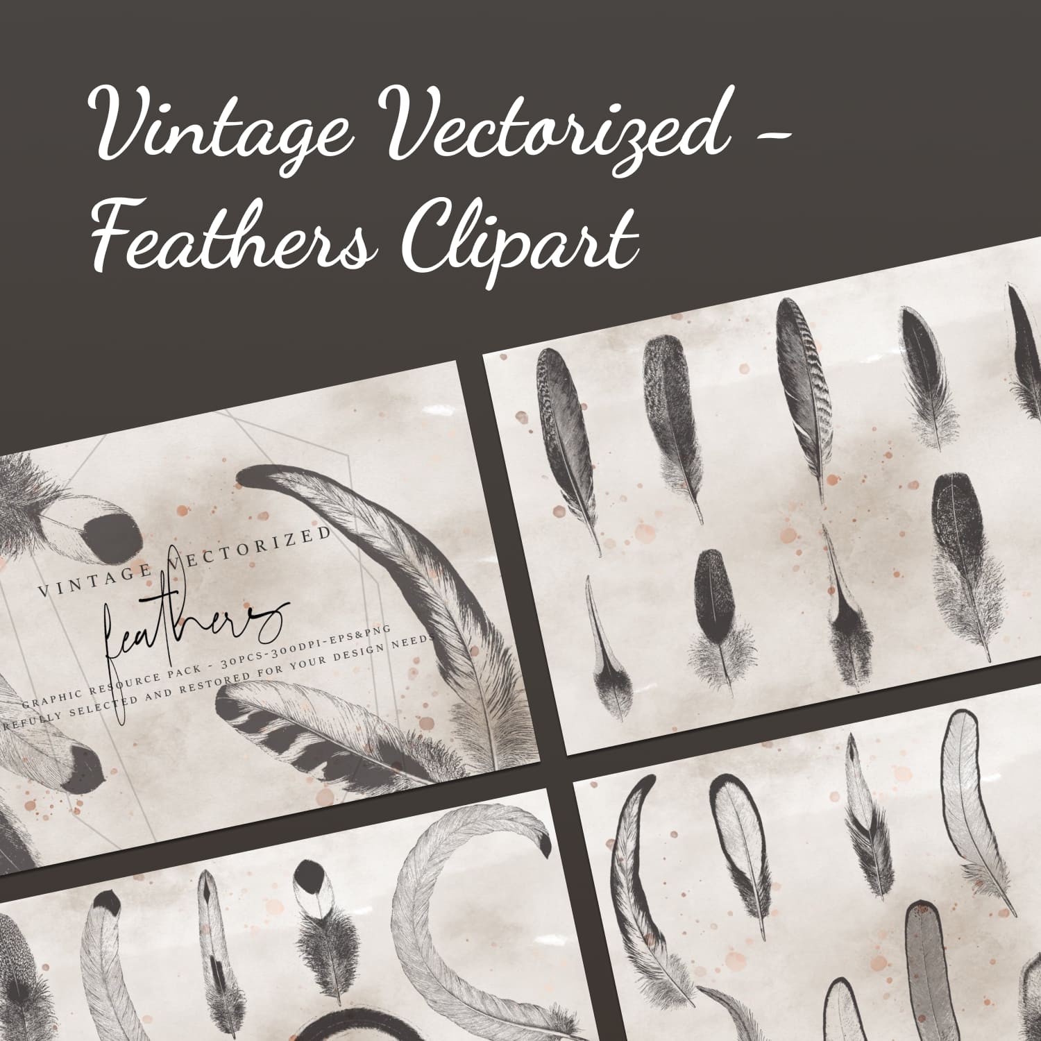 Vintage Vectorized - Feathers Clipart cover image.