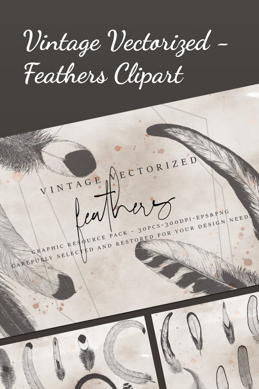 Vintage Vectorized - Feathers Clipart pinterest image.