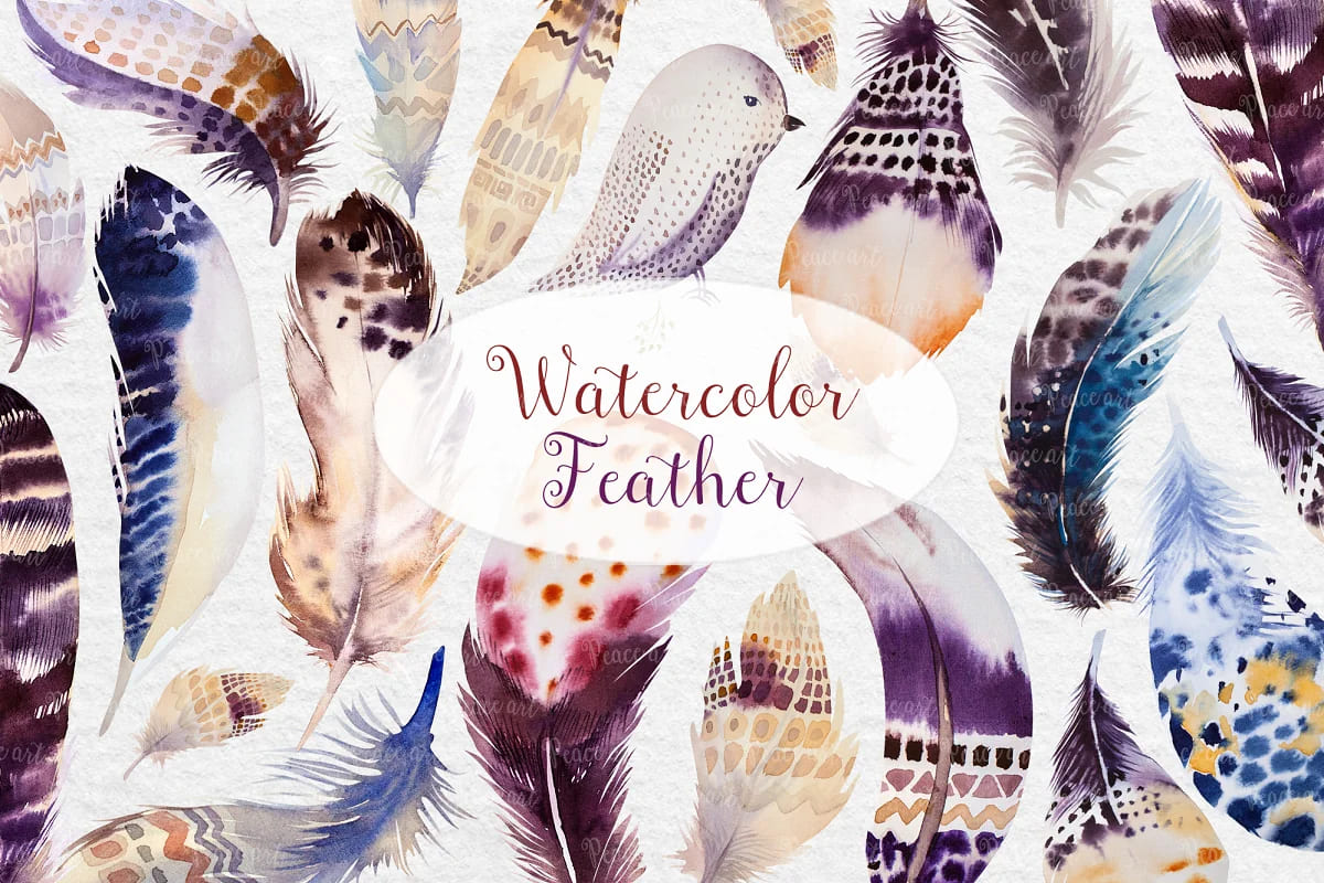 watercolor boho feather graphics collection.