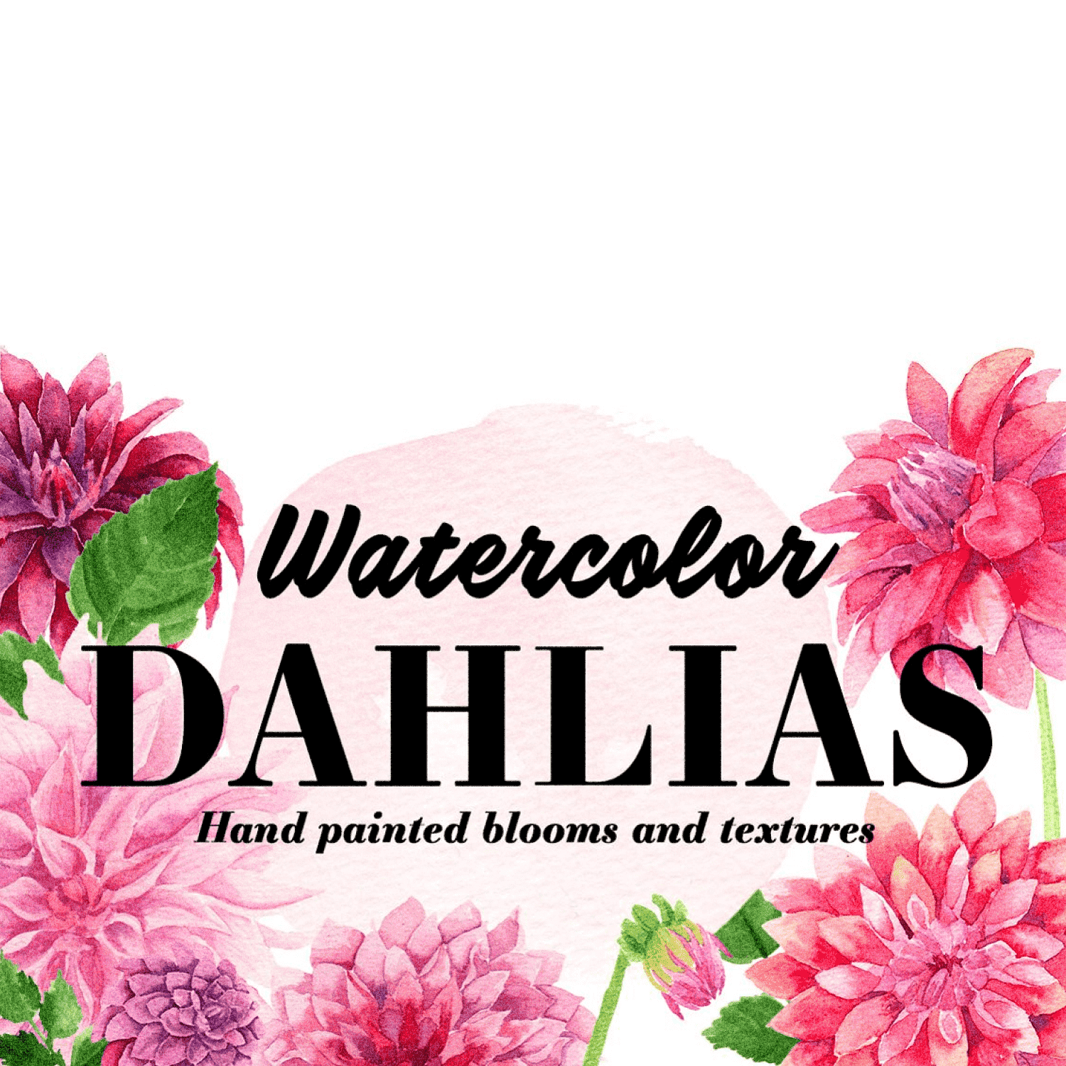 Watercolor Dahlias - Hand Painted Blooms And Textures Preview.