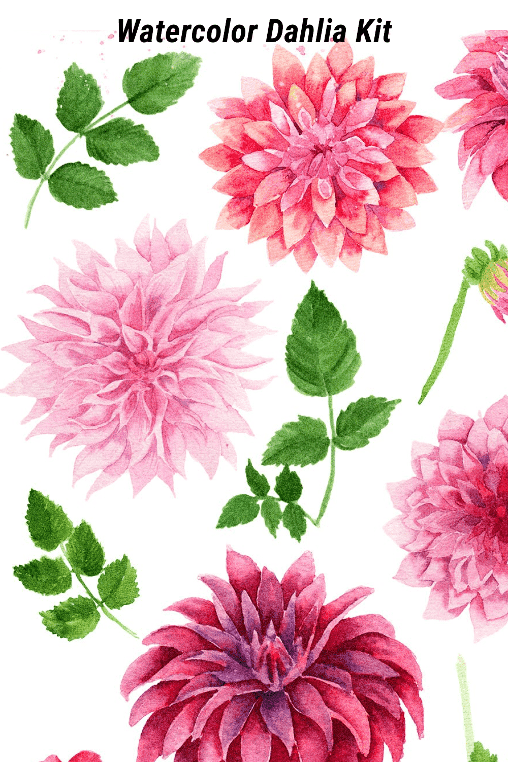 Watercolor Dahlias - Hand Painted Blooms And Textures Pinterest Image Preview.