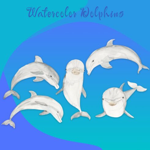 Watercolor Dolphins Elements Hand Painted Package cover image.