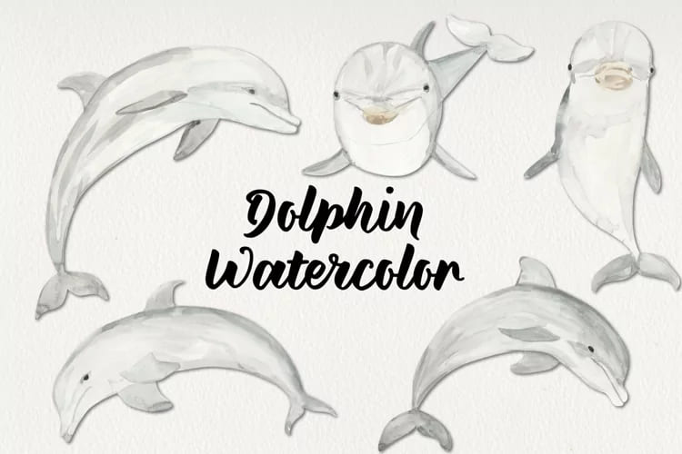 Watercolor Dolphins Elements Hand Painted Package facebook image.