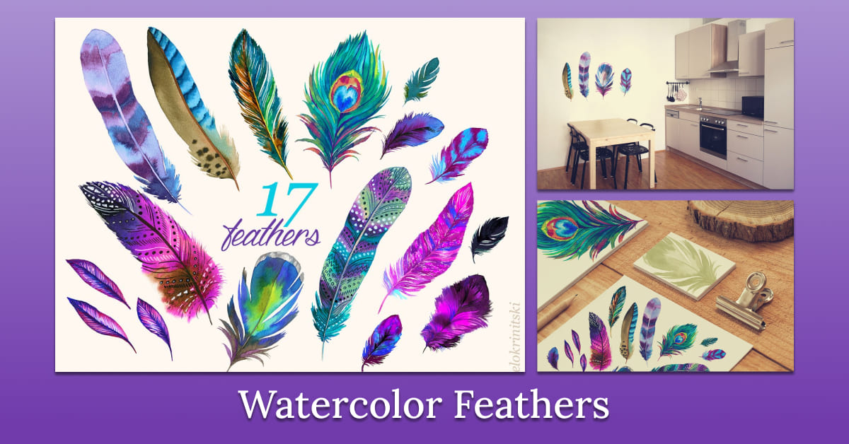 watercolor feathers set.