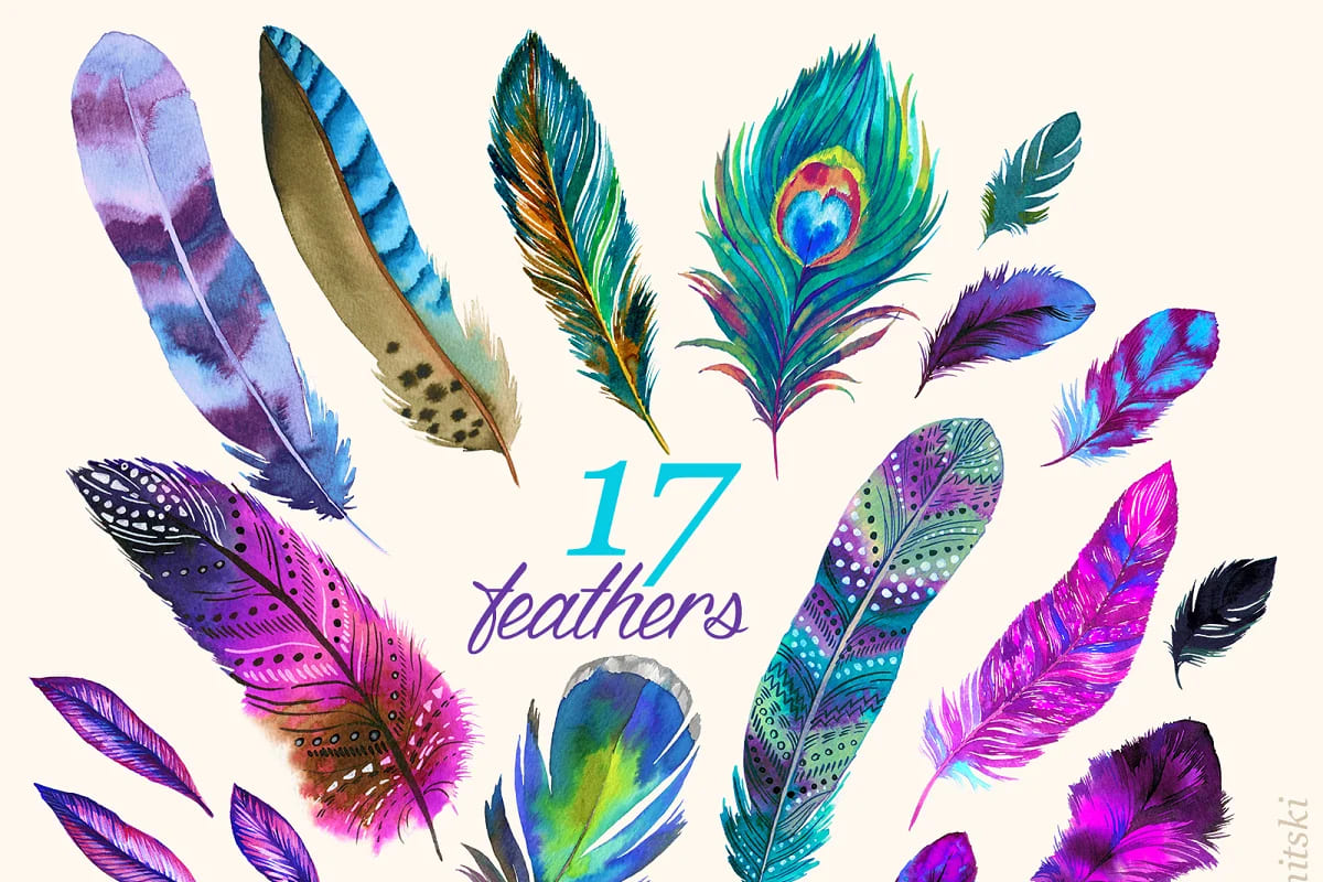 watercolor feathers beautiful illustrations.