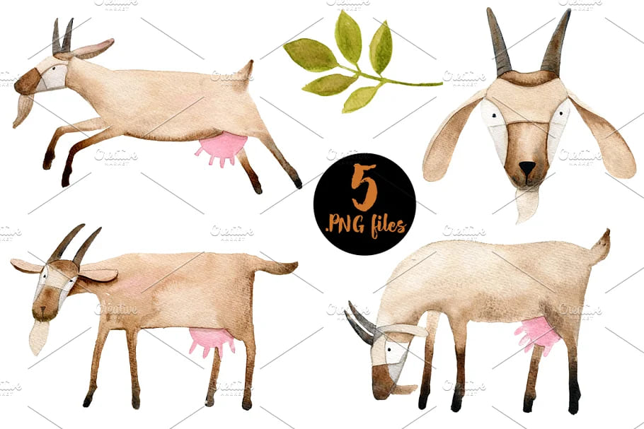 watercolor goats set of illustrations.