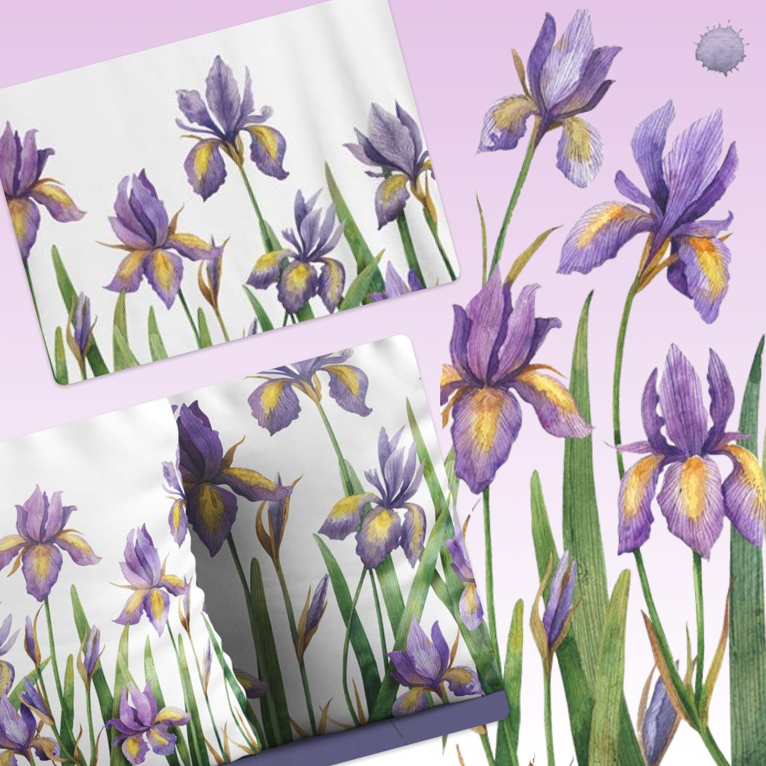 watercolor iris collection.