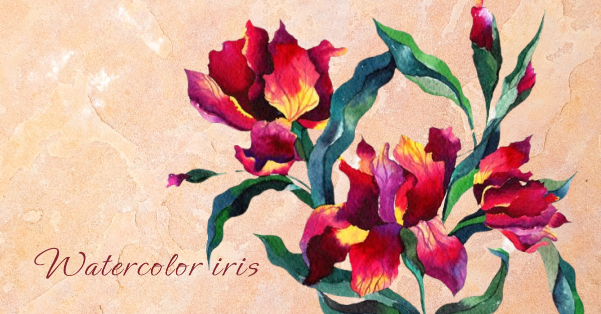 watercolor iris hand painted clipart.