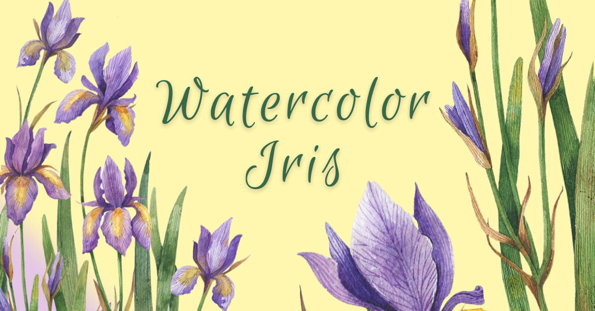 watercolor iris set.