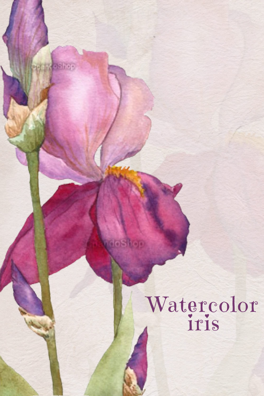 Watercolor Iris Clip Art pinterest image.