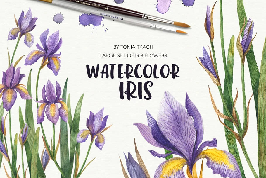 Watercolor Iris Set of Flowers facebook image.