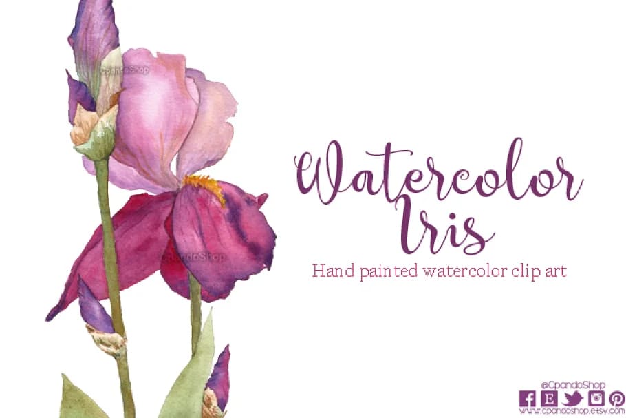 Watercolor Iris Clip Art facebook image.