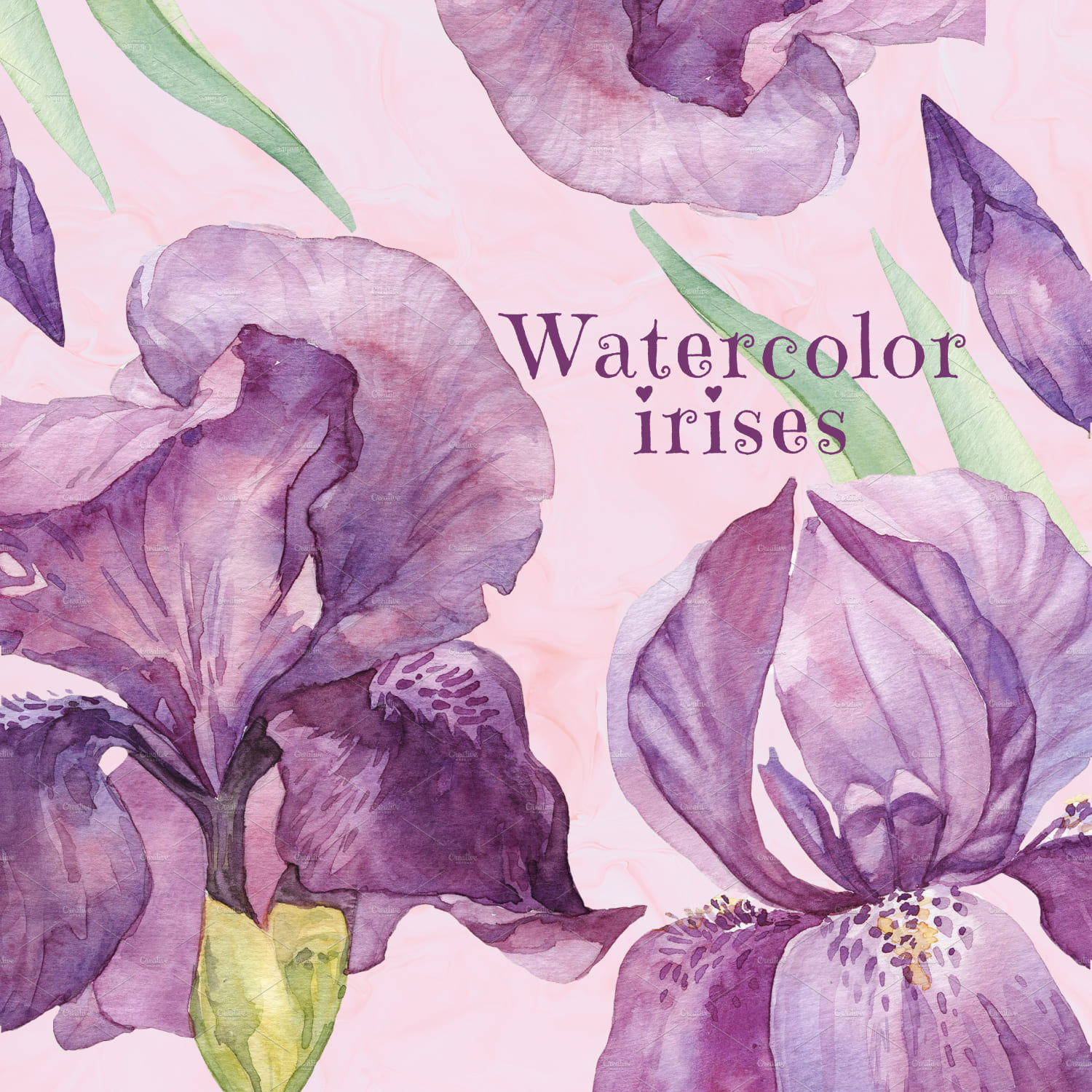 Watercolor Irises+Vector cover image.