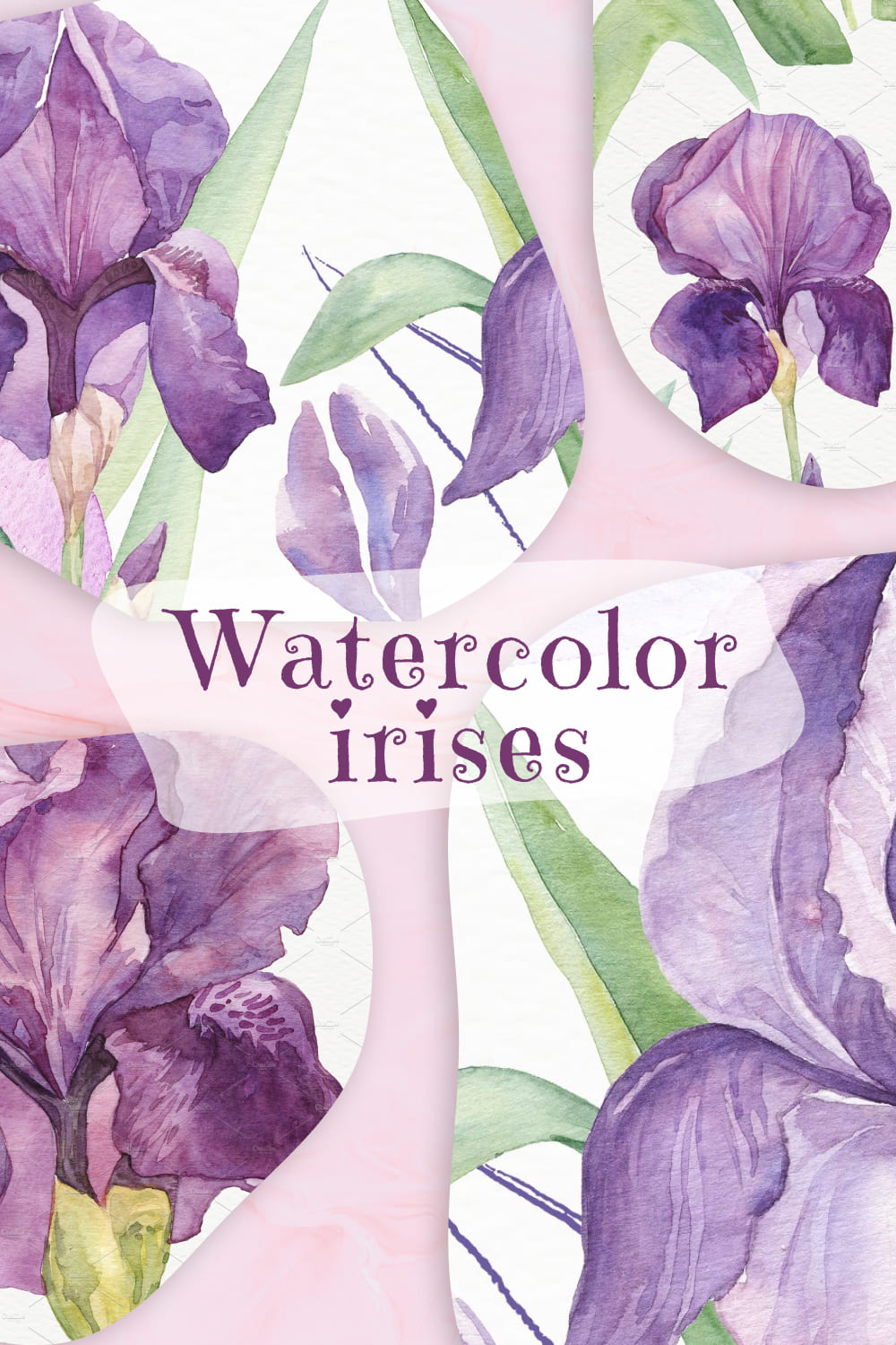 Watercolor Irises+Vector pinterest image.
