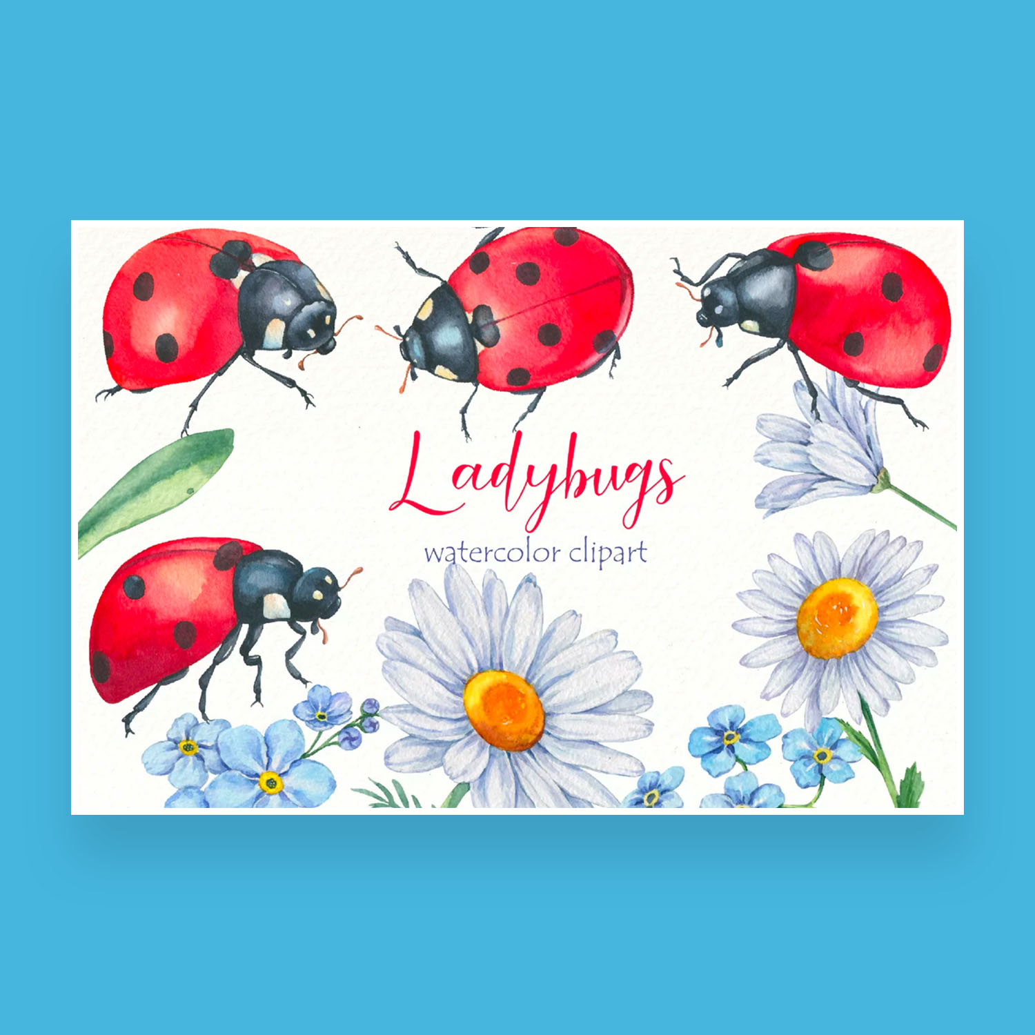 watercolor ladybug clipart bundle.