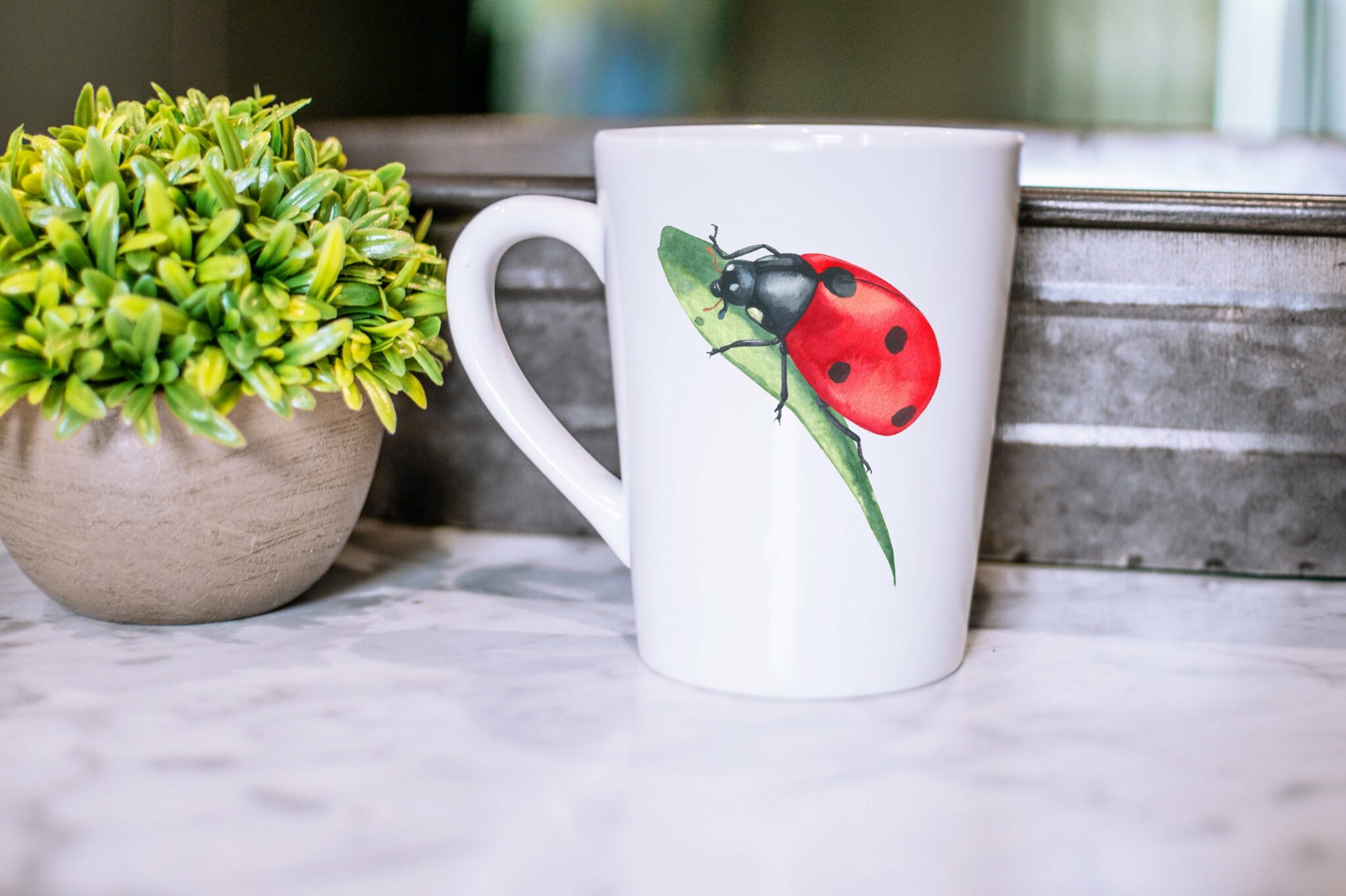 Watercolor Ladybug Clipart Bundle | Cute Insect PNG – MasterBundles