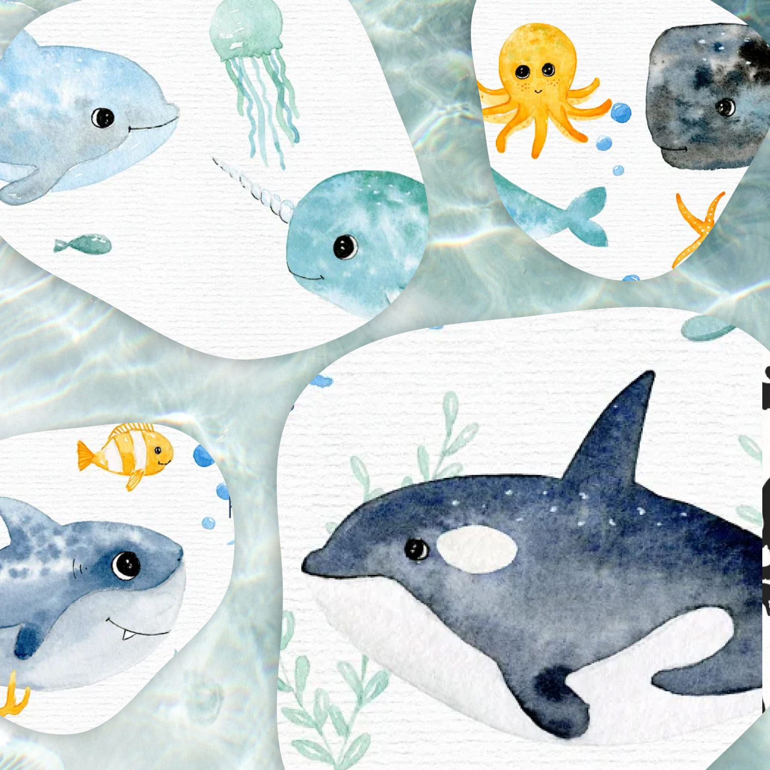 watercolor sea creatures graphics.