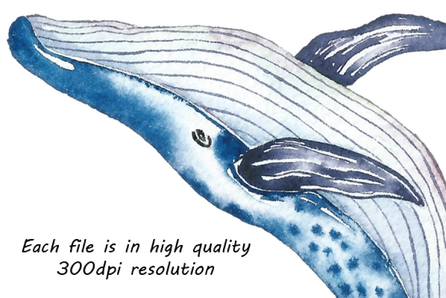 watercolor whale graphics.
