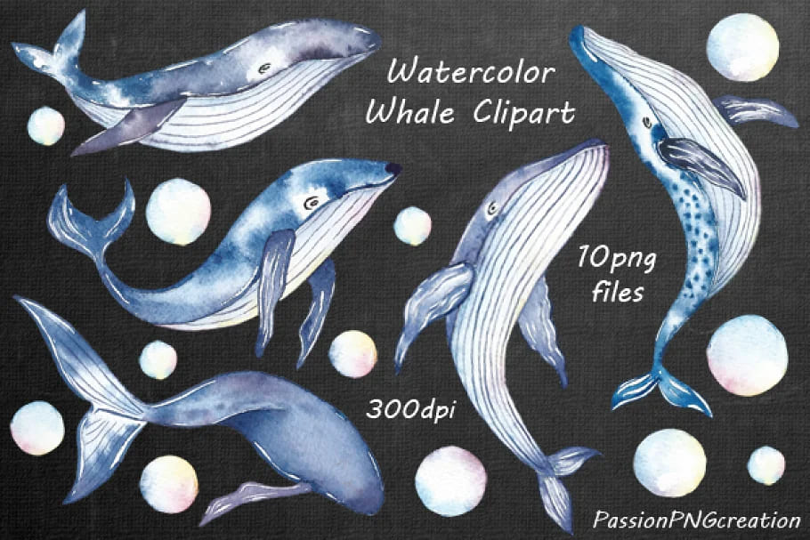 watercolor whale images.