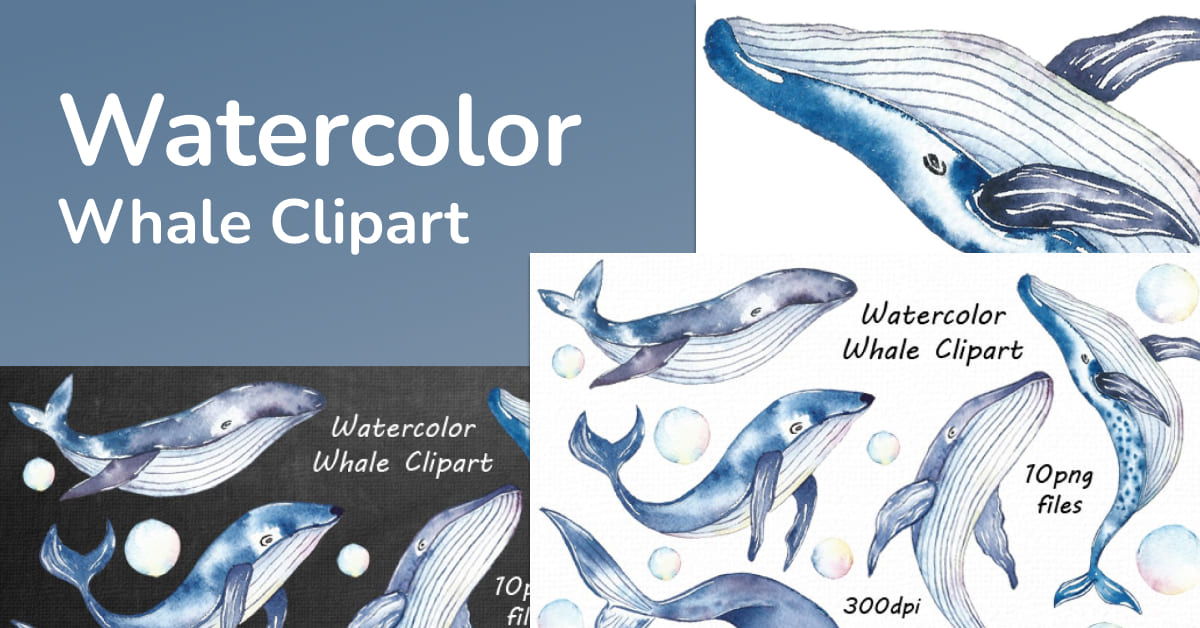 watercolor whale clipart collection.