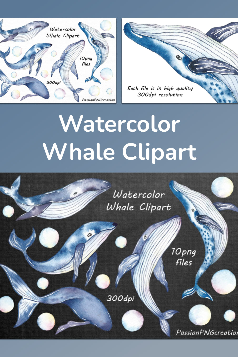 Watercolor Whale Clipart Collection pinterest image.