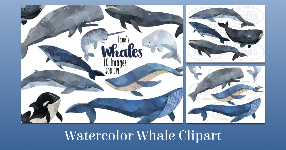 watercolor whale clipart collection.