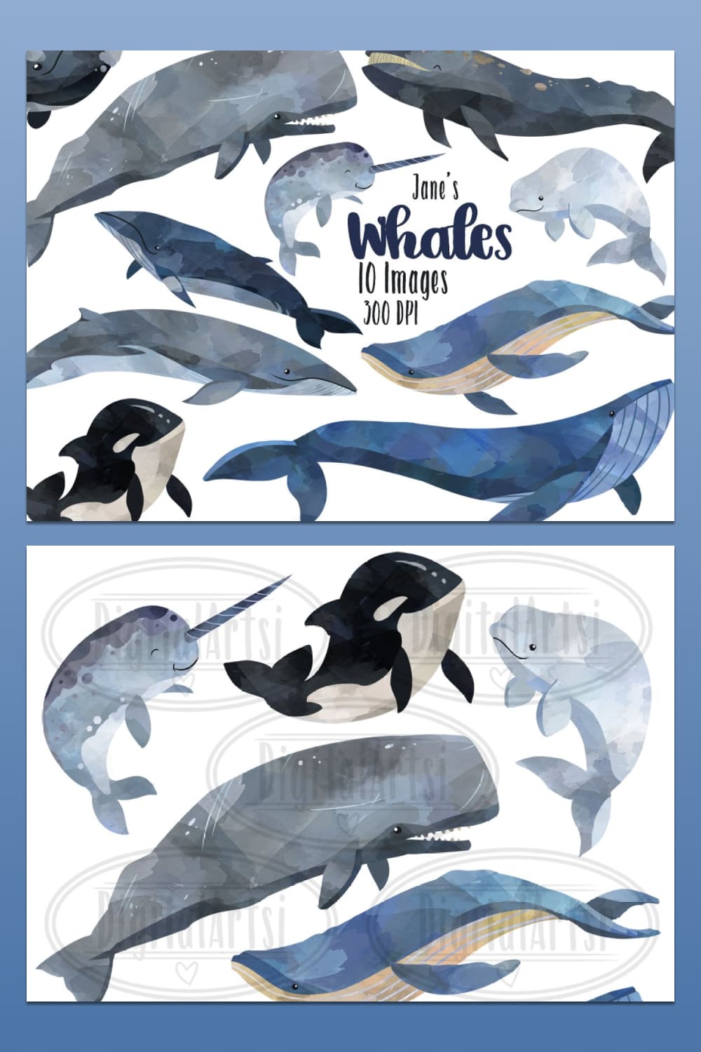 watercolor whale clipart kit.