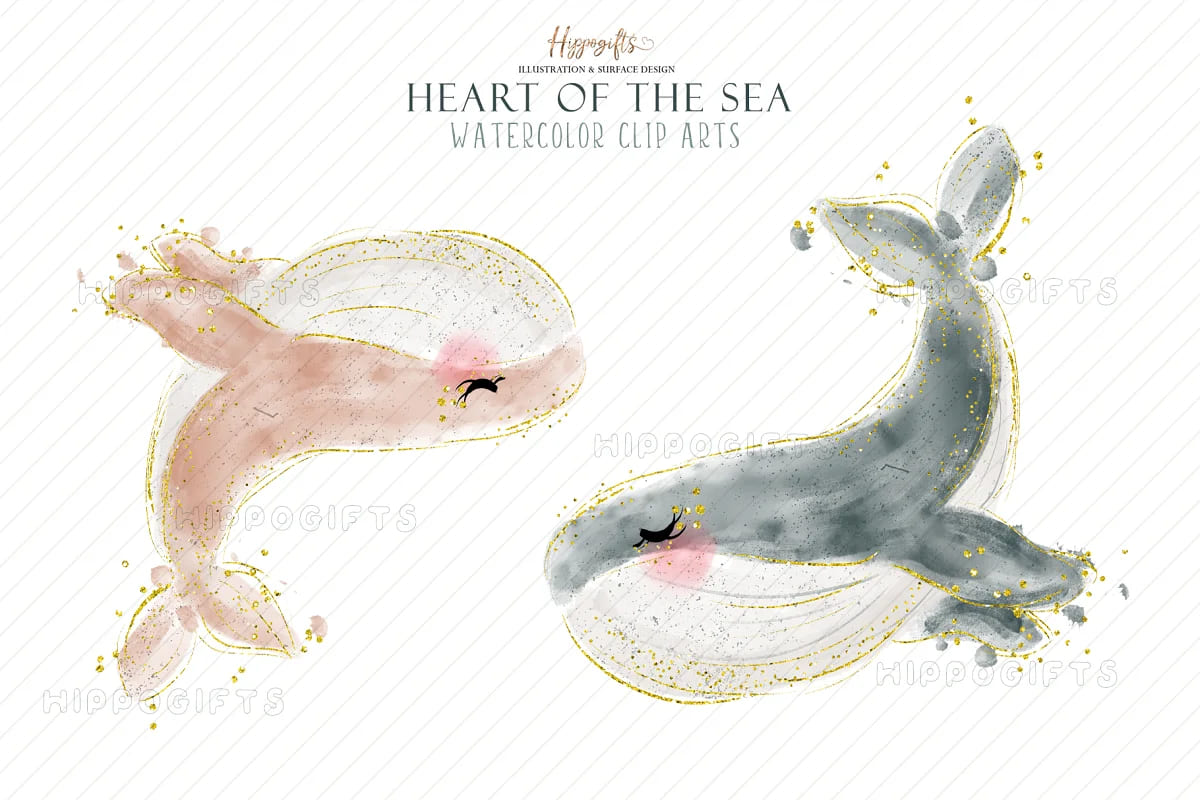 watercolor whale cliparts, heart of thr sea.
