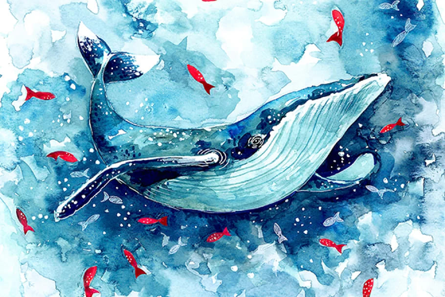 hand crafted watercolor whale illustration.