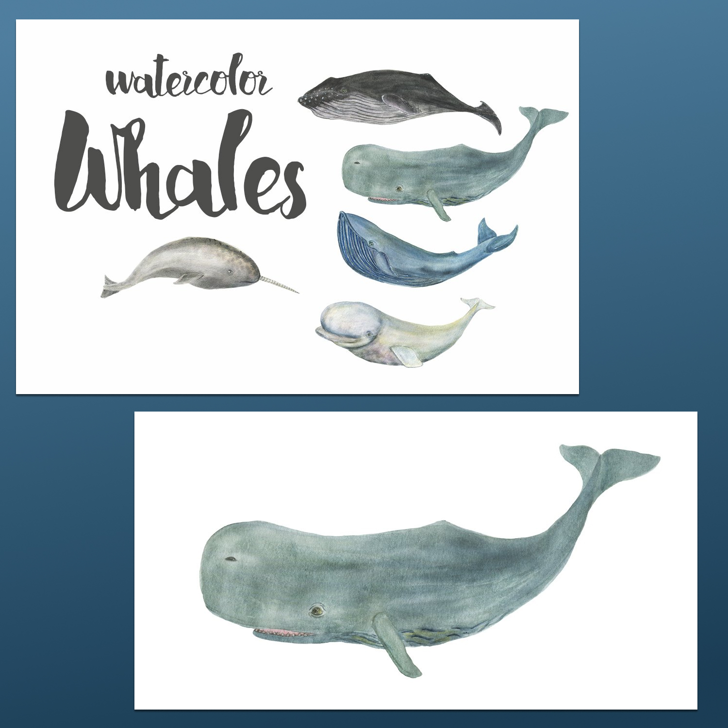 Watercolor Whales Hand Painted Clipart preview image.