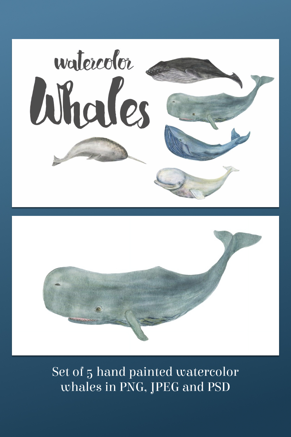 Watercolor Whales Hand Painted Clipart pinterest image.