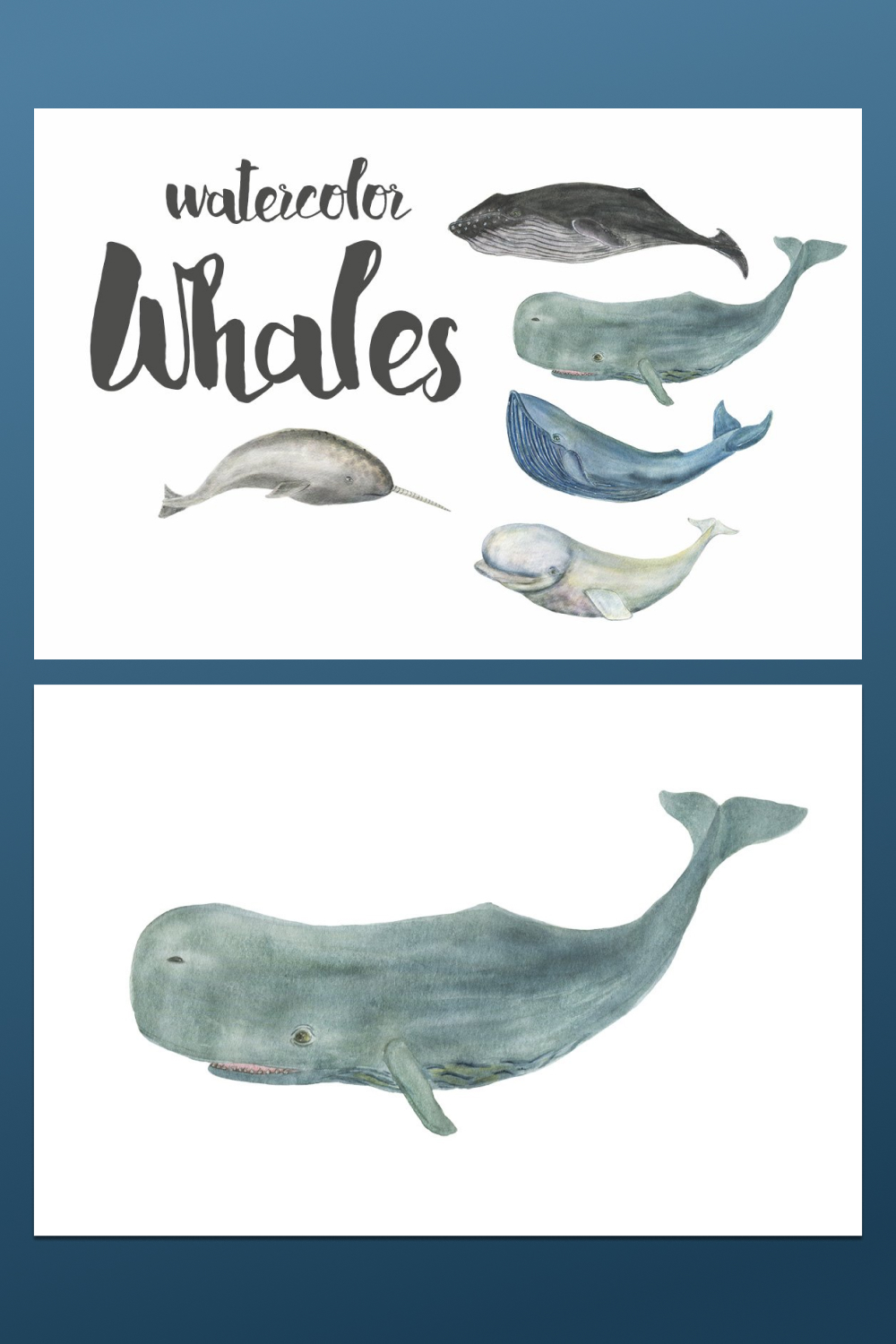 watercolor whales design.
