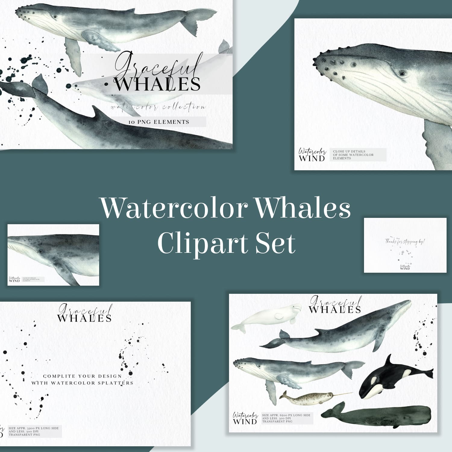 Graceful Watercolor Whales Clipart Set cover image.