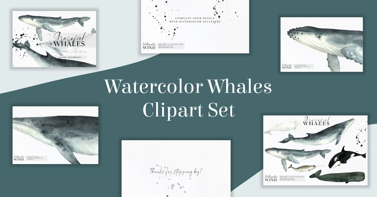 watercolor whales clipart set.
