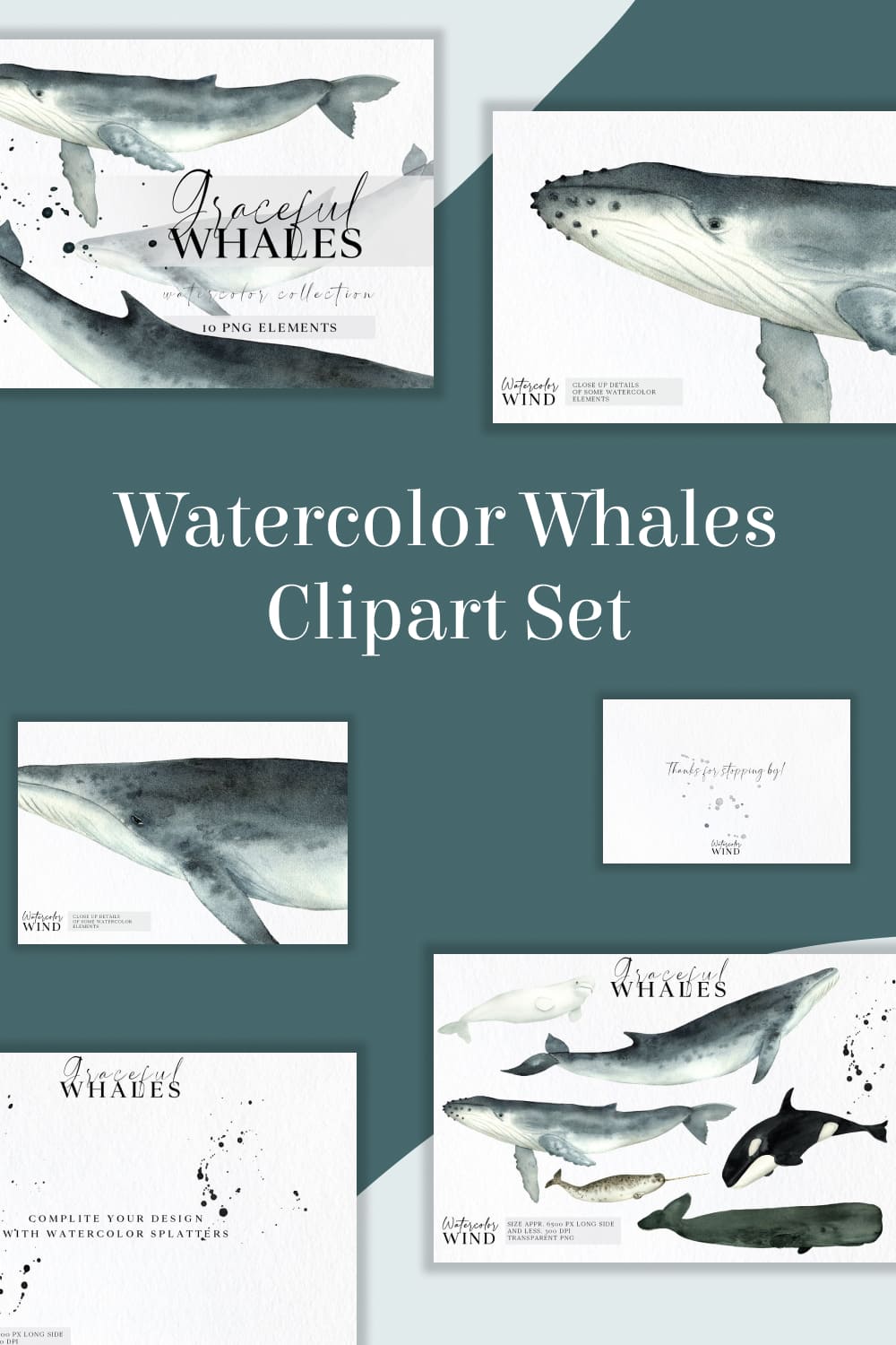 watercolor whales clipart collection.
